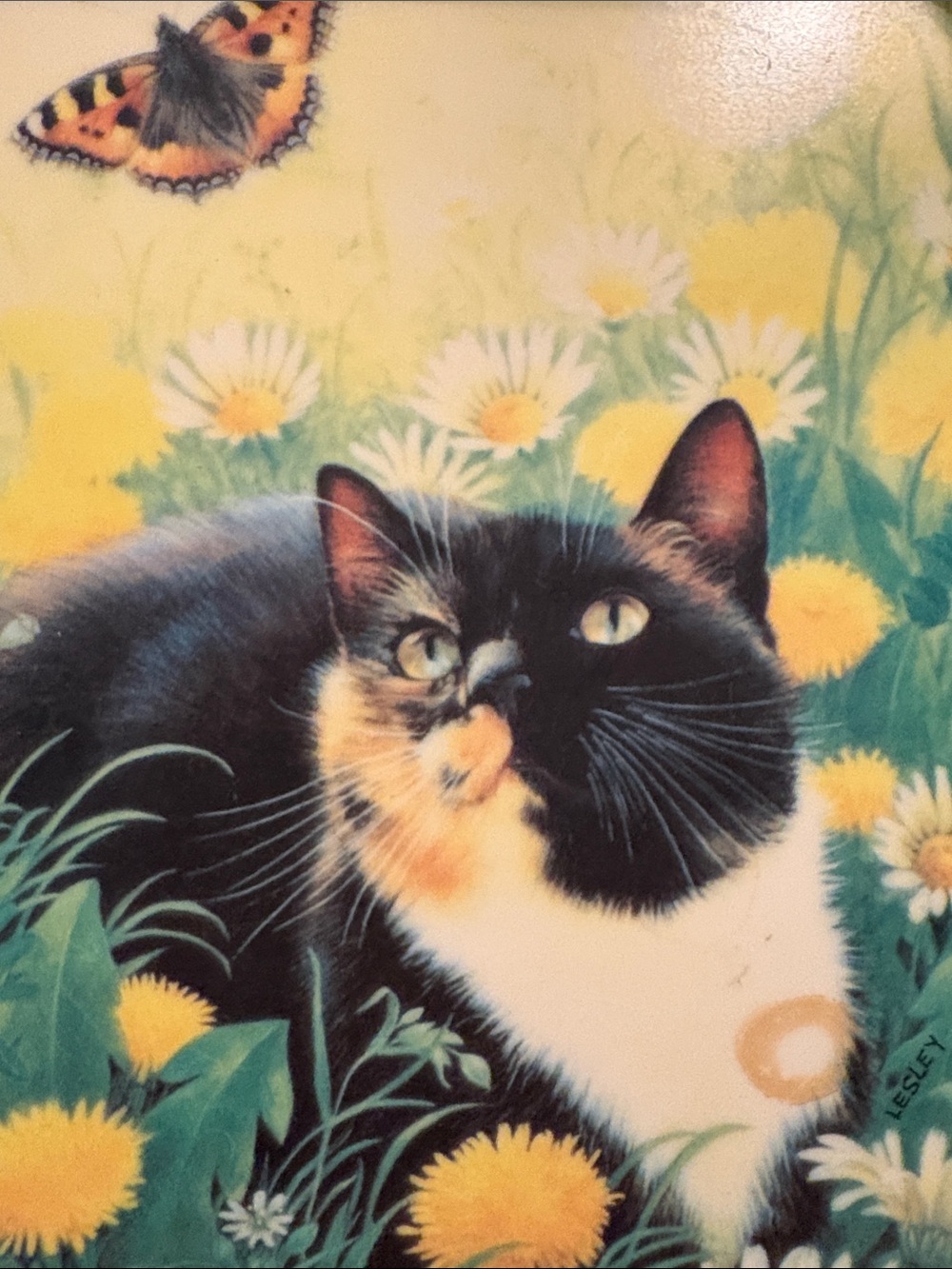 Cats in the Sun Tray Melamine Italian Butterflies Flowers Lesley Anne Ivory Art